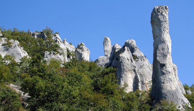 Symbol přírodní památky Vela Draga. Vápencová věž pojmenovaná Svíce Symbol přírodní památky Vela Draga. Vápencová věž pojmenovaná Svíce