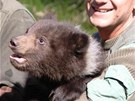Potomci medvědice Kamčatky z brněnské zoo jsou kluci: mládě na snímku se může Potomci medvědice Kamčatky z brněnské zoo jsou kluci: mládě na snímku se může