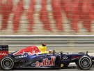P�ED PR�ZDN�MI TRIBUNAMI. Ani mistr sv�ta Sebastian Vettel nep�il�kal