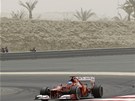 V POU�TI. Fernando Alonso z Ferrari proj�d� behem t�et�ho tr�ninku okruh v