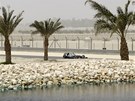MEZI PALMAMI. Zku�en� Michael Schumacher vj�d� na pou�tn�m bahrajnsk�m okruhu