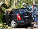 Strom zdemoloval auta na parkovišti v osadě Peklo u Nového Města nad Metují na Strom zdemoloval auta na parkovišti v osadě Peklo u Nového Města nad Metují na