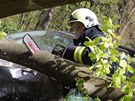 Strom zdemoloval auta na parkovišti v osadě Peklo u Nového Města nad Metují na Strom zdemoloval auta na parkovišti v osadě Peklo u Nového Města nad Metují na