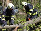 Strom zdemoloval auta na parkovišti v osadě Peklo u Nového Města nad Metují na Strom zdemoloval auta na parkovišti v osadě Peklo u Nového Města nad Metují na