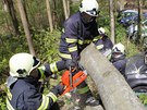 Strom zdemoloval auta na parkovišti v osadě Peklo u Nového Města nad Metují na Strom zdemoloval auta na parkovišti v osadě Peklo u Nového Města nad Metují na