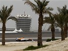 SAHARA S PALMAMI. Nico H�lkenberg ze st�je Force India v �vodn�m tr�ninku Velk�