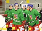Momentka z tr�ninku hokejov� reprezentace