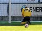 PUSTIL G�L. �eskobud�jovick� brank�� Michal Dan�k smutn� hled� do zem�, pr�v�
