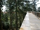 Lipno nad Vltavou. stezka v korun�ch strom� �eskou stezku korunami strom�...