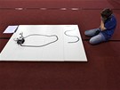 V Praze se uskute�nil 9. robotick� den. (2�. dubna 2012, Praha)