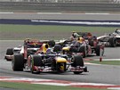 L�DR. Sebastian Vettel v �ele bahrajnsk�ho z�vodu.