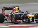 ZA V�T�ZSTV�M. Sebastian Vettel dojel v Bahrajnu na prvn�m m�st�.