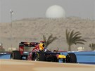 V�T�Z. Z�vod v Bahrajnu ovl�dl Sebastian Vettel ze st�je Red Bull.