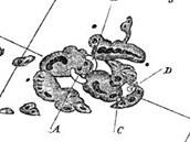 Richardem Carringtonem skupina skvrn, ve kter� do�lo 1. z��� 1859, k erupci,