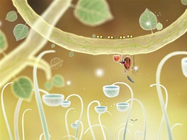 Botanicula