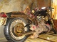 V Kanadě nalezený Harley-Davidson, který do moře spláchla japonské tsunami z