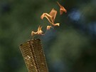 Za�ehnutí ohn� pro olympijské hry v Londýn�
