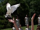 Za�ehnutí ohn� pro olympijské hry v Londýn�