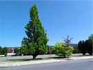 Fotky po��zen� smartphonem HTC One S
