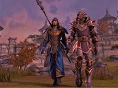 Titul Elder Scrolls Online se p�edstavuje v prvních obrázcích ze hry.