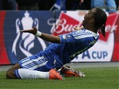 DAL JSEM G�L. �to�n�k Didier Drogba z Chelsea se raduje ze vst�elen�ho g�lu.
