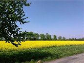 Fotky po��zen� smartphonem HTC One S