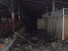 Hasi�i zasahovali u po��ru st�j� u Loukova na Krom���sku. (10. kv�tna 2012)