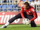 Brank�� Slov�cka Miroslav Filipko.