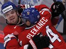 KONE�N�. �esk� kapit�n Tom� Plekanec d�kuje spoluhr��i Milanu Mich�lkovi za