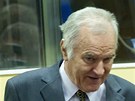 Ratko Mladi� p�ed soudem v Haagu (16. kv�tna 2012)