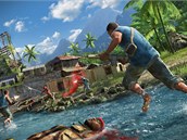 Far Cry 3