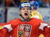 ROZHODNUT�. Milan Mich�lek obral �v�dy o puk, nabruslil p�ed branku a zav�sil...