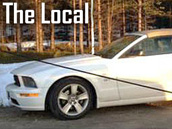 Opu�t�n� b�l� mustang nedaleko Jokkmokku v severn�m �v�dsku