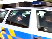 Policist� odv�ej� Davida Ratha (vlevo) od jeho domu ve st�edo�esk� Hostivici