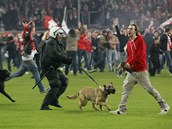 STOPA Policisté se psy vyhán�jí z trávníku rozvá�n�né fanou�ky Fortuny...