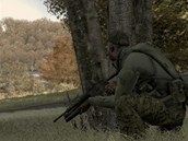 ArmA II