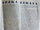 Typickou ukázkou pron�mecké vále�né �urnalistiky pak byl nap�íklad �lánek s