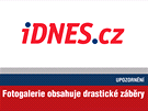 UPOZORN�N�: Fotogalerie obsahuje drastick� z�b�ry