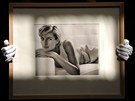 Princezna Diana na sn�mku z roku 1993, kter� po��dil fotograf hv�zd Mario...