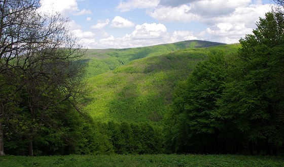Csóványos (938 m) ze sjezdovky pod Nagy hideg hegy (865 m) Csóványos (938 m) ze sjezdovky pod Nagy hideg hegy (865 m)