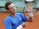 D�KY. �esk� tenista Tom� Berdych tlesk� o svou raketu fanou�k�m, kte�� ho