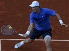 CHOBOTNICE. Tom� Berdych si p�i snaze odehr�t m��ek z rakety Del Potra div