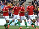 MAĎARSKÁ RADOST. Maďarští fotbalisté se v přípravném zápase ujali vedení už v MAĎARSKÁ RADOST. Maďarští fotbalisté se v přípravném zápase ujali vedení už v