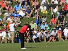 Tiger Woods při puttu na 17. dublinské jamce. Tiger Woods při puttu na 17. dublinské jamce.