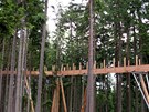 V�stavba stezky korunami strom� na Kramol�n� u Lipna nad Vltavou. D�ev�n� l�vka