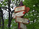 Rozcestník na nejvyšším vrcholu Csóványos (938 m) Rozcestník na nejvyšším vrcholu Csóványos (938 m)