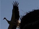 Na vrcholu komína panelárny v Raspenavě musel lezec překonat ještě metr a půl Na vrcholu komína panelárny v Raspenavě musel lezec překonat ještě metr a půl