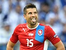 Milan Baroš Milan Baroš