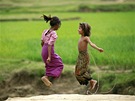 Barma