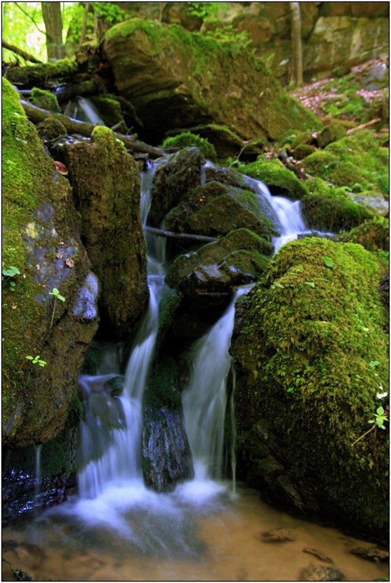 Z okoln�ch svah� p�it�k� do Kamenice nespo�et mal�ch pot��k�. Mnoh� z nich